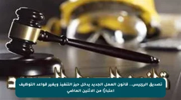 تصديق الرئيس.. قانون العمل الجديد يدخل حيز التنفيذ ويغير قواعد التوظيف اعتبارًا من الإثنين الماضي